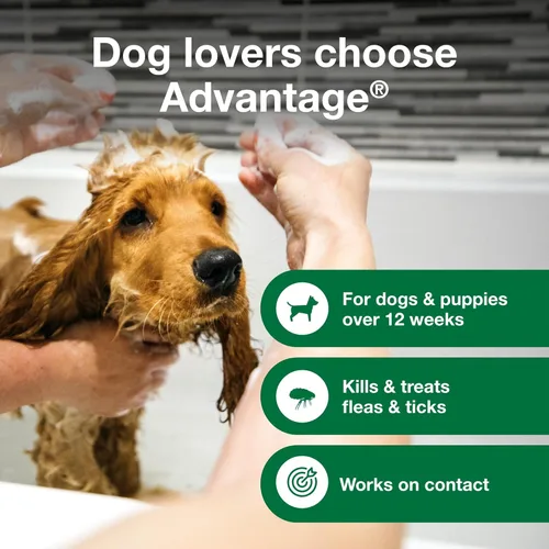 Miniatura 3 de Advantage Champú para pulgas y garrapatas para perros y perros adultos Mata pulgas y garrapatas 8 onzas