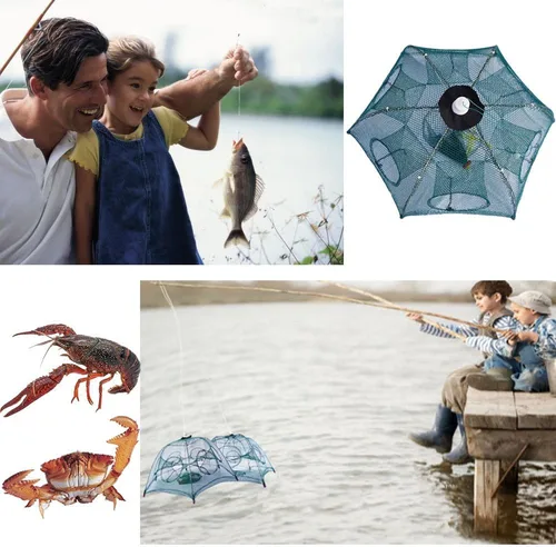 Miniatura 7 de Trampa de red de pesca, portátil, plegable, plegable, red de cangrejo fundido, cebo de inmersión para peces camarones, cangrejos de cangrejo