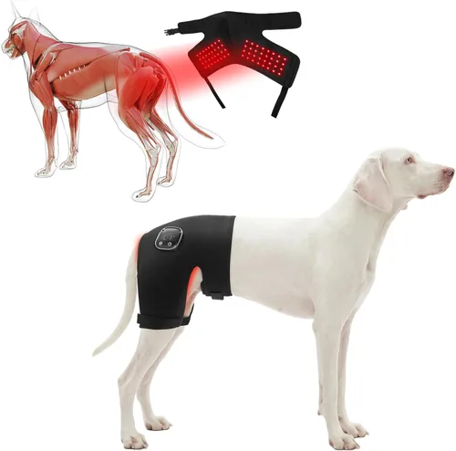 Miniatura 11 de Soporte de cadera para perro con terapia de luz infrarroja roja - Alivio del dolor para artritis, displasia de cadera, problemas de columna