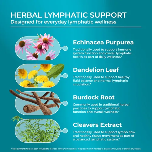 Miniatura 4 de PUREHEALTH RESEARCH Soporte del sistema linfático - Suplemento de drenaje linfático para mujeres y hombres - Bromelina, equinácea, diente de león