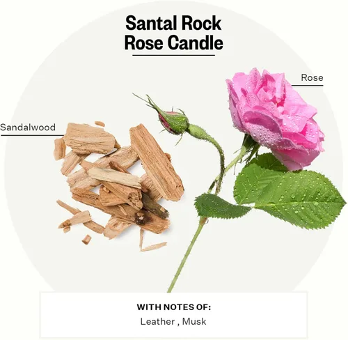 Miniatura 10 de Apotheke Velas perfumadas exclusivas para el hogar, lavanda Hinoki, 10.5 onzas, cera de soja, no tóxica, tarro grande blanco, velas de lujo regalos