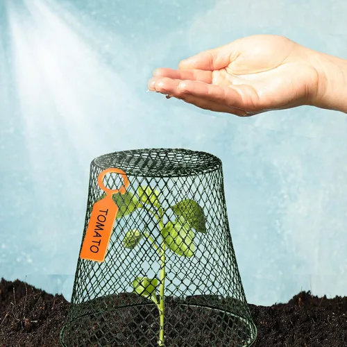 Miniatura 3 de 10 cubiertas de alambre para plantas de alambre de alambre para jardín, alambre de pollo, protector de plantas de metal resistente para plantas