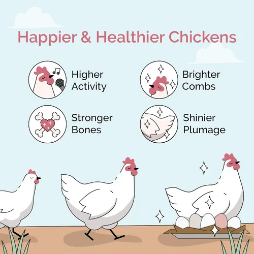 Miniatura 3 de Mile Four Grano de pollo (50 libras) para pollos en capas y cultivadores de 8 a 20 semanas o más, 100 % mineral natural de grano de pollo, cuarcita