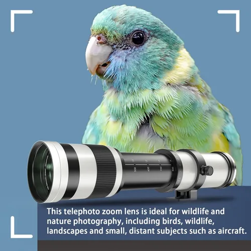 Miniatura 3 de Lente telefoto EF/EF-S 420-800mm F8.3 de zoom (MF) para cámaras Canon EOS Rebel T8i/T7i/T7/T6i/T5/T3i/T2i/XSi/SL3/SL2/T100/90D/80D/70D/50D/5D Mark