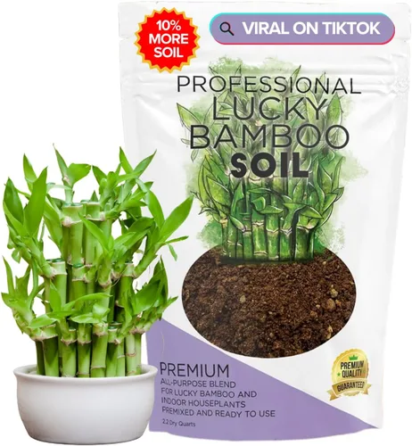 Miniatura 14 de Bird of Paradise - Mezcla profesional para macetas de 2.2 cuartos de galón, lista para usar, tierra de interior premium para plantas de aves