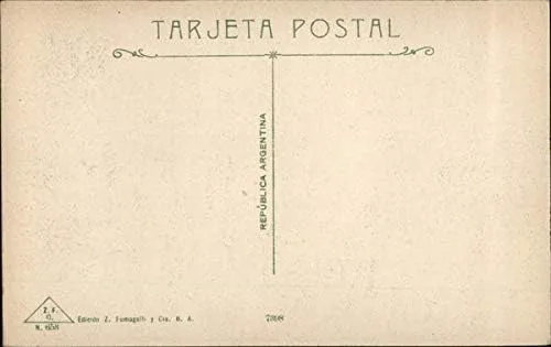 Miniatura 2 de Museo de Bellas Artes Buenos Aires, Argentina Original Antique Postcard