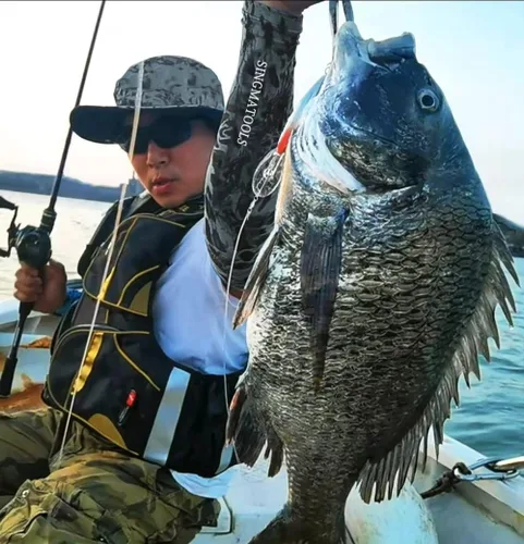 Miniatura 6 de 20 piezas de rodamientos de bolas giratorios aparejos de pesca a presión giratorios de pesca de barril de agua salada, clips de pesca, clips