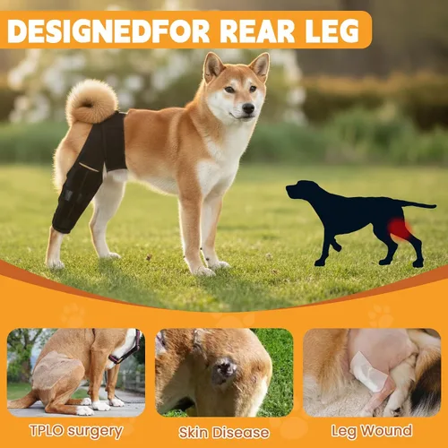 Miniatura 5 de Rodillera para perro para desgarro del ligamento cruzado anterior, soporte ajustable y transpirable para pierna trasera, material duradero para una
