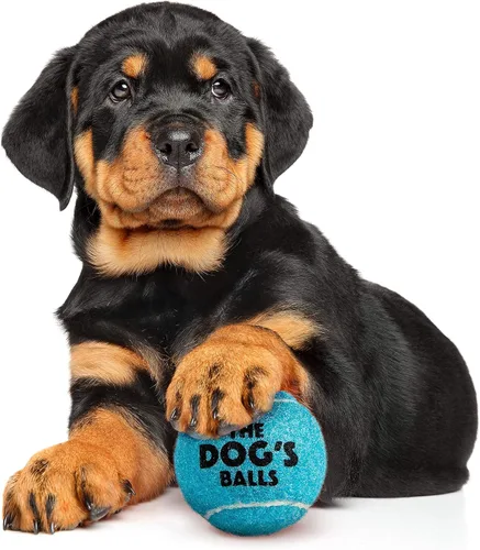 Miniatura 7 de The Little Dog's Balls - Pelotas de tenis para perros pequeños y cachorros, color azul, paquete de 6, pelotas de fieltro no abrasivas, núcleo