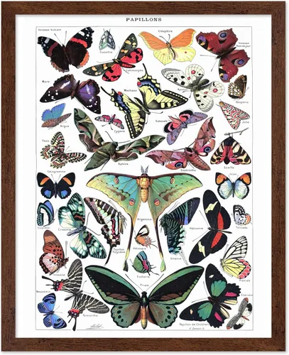 Miniatura 20 de Poster Master Póster vintage de miel, impresión retro de La Vie De L'Abeille, arte de panal de abeja, arte de pared de abeja, regalo para hombres