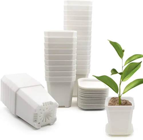 Miniatura 14 de Macetas de vivero transparentes verdes de 3 pulgadas de Foxany, 30 piezas de maceta de plástico grueso, paquete variado de macetas cuadradas