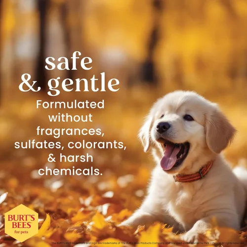 Miniatura 5 de Burt's Bees for Pets Champú para cachorros sin lágrimas con suero de leche y aceite de linaza, champú suave para perros de más de 8 semanas