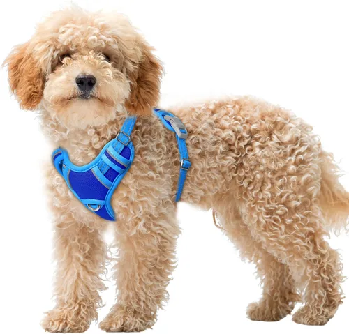 Miniatura 61 de BARKBAY Arnés para Perro Sin Tirones Talla Grande Arnés Reflectante para Perro con Clip Frontal y Asa de Control Fácil para Caminar Entrenar Correr
