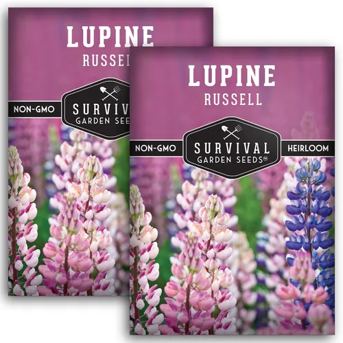 Miniatura 10 de Survival Garden Seeds - Semilla de altramuz Russell para plantar - Paquete con instrucciones para plantar y cultivar flores silvestres al aire libre