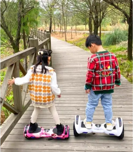 Miniatura 7 de Cargador de 29.4V 3 en 1 Hooverboard, cargador de silla de ruedas para batería de litio de 24 V, 25.2 V 25.9 V, Jetson Flash Hali X Impact Lumino