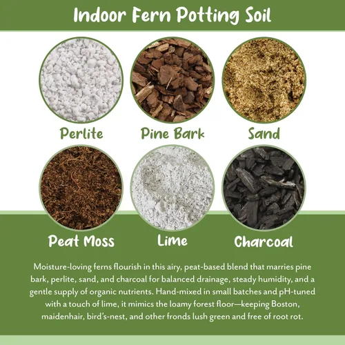 Miniatura 5 de Soil Sunrise Mezcla de tierra para macetas de plantas de helecho (8 cuartos de galón) Mezcla mezclada a mano personalizada para jardinería