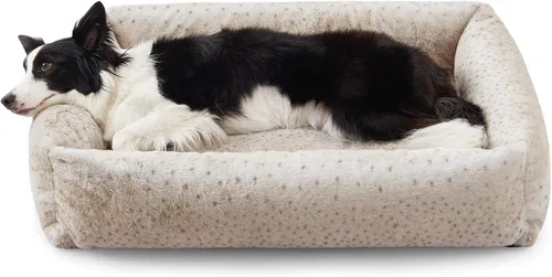 Miniatura 14 de JOEJOY Cama mediana para perros de tamaño mediano, cama ortopédica rectangular lavable para mascotas con funda de cremallera extraíble, bonita cama