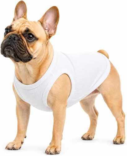 Miniatura 28 de Lovelonglong Ropa para mascotas de verano 2019, ropa para perro, camisetas en blanco, camisetas acanaladas, chalecos de hilo superior para perros
