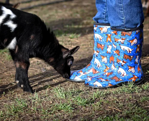 Miniatura 4 de Sloggers Botas de lluvia de jardín impermeables para mujer, bonitas botas de barro y mugre a media pantorrilla con plantilla de apoyo cómoda