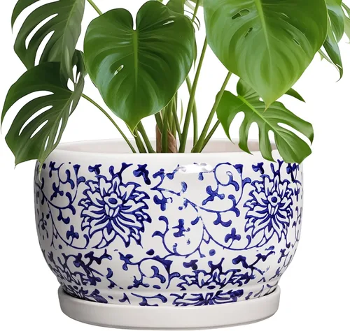 Miniatura 30 de SQOWL Macetas de cerámica – Maceta de 6 pulgadas con orificio de drenaje y bandeja, maceta redonda para plantas de interior, maceta decorativa