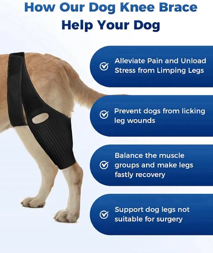 Miniatura 4 de Rodillera para perro, soporte de ACL para perro para desgarro delantero y trasero, patas traseras traseras, desgarro de ligamento cruzado anterior
