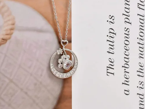 Miniatura 4 de Collar con estampado de patas para mujeres y niñas, de plata de ley para cachorros, gatos, mascotas, collar con dije de círculo, circonita cúbica