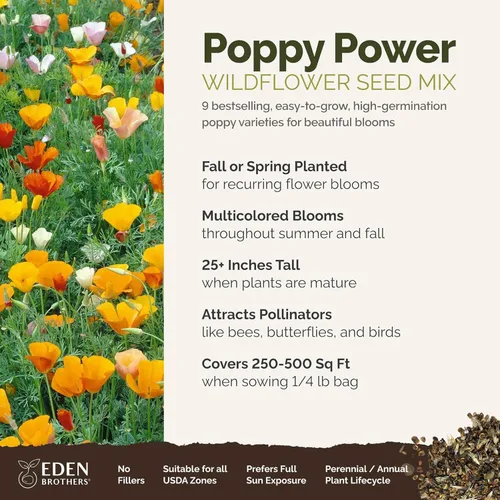Miniatura 2 de Eden Brothers Poppy Power Flower - Semillas mixtas para plantar, 1/4 lb, más de 120,000 semillas con amapola roja, Islandia, amapola de California