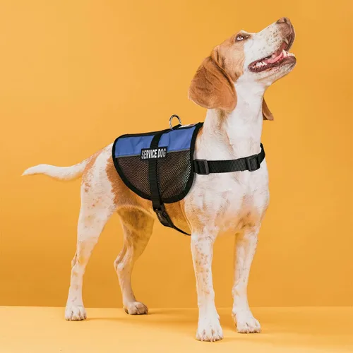Miniatura 5 de Dogline Chaleco para perro de servicio, 17 x 21 pulgadas, azul
