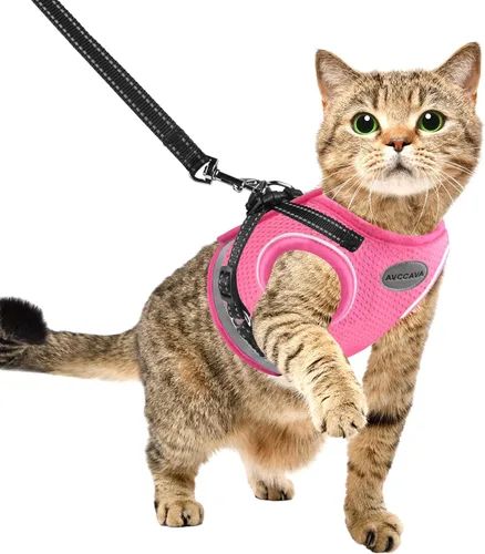 Arnés para gatos y correa para caminar, arneses a prueba de escapes para gatitos, arnés ajustable reflectante para cachorros con correas, chaleco de