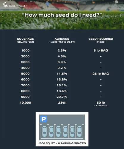Miniatura 5 de Twin City Seed Co. Semillas ecológicas (festuca de bajo crecimiento), mezcla de hierba de festucas finas, bolsa de 25 libras