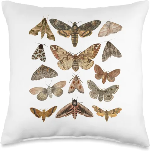 Moth Lover Bug Catcher Insect Lover Forestcore NS Vintage Moth Goblincore Aesthetic Dark Academia Cottagecore, 16 x 16 pulgadas, multicolor