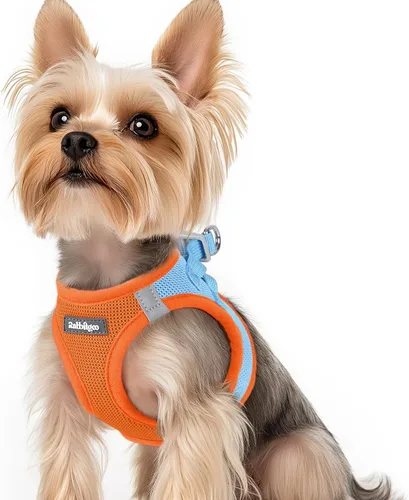 Miniatura 87 de rabbitgoo Arnés para perro pequeño, chaleco de malla suave para cachorros con hebilla de seguridad, arnés reflectante transpirable para mascotas