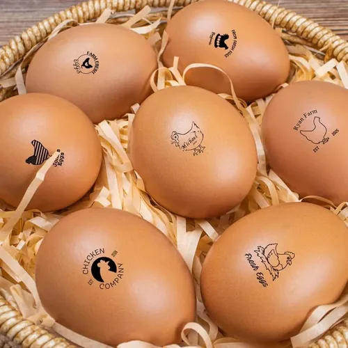 Miniatura 5 de Sellos de huevos para huevos frescos, sello personalizado con diseños, logotipo personalizado, sellos de animales, sello personalizado duradero