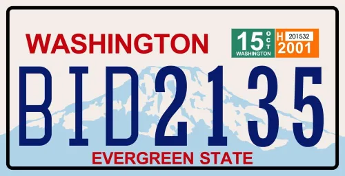 Miniatura 8 de Juego de 10 placas de metal para automóviles de Estados Unidos - réplicas de placas americanas reales de los estados americanos más famosos - MAD