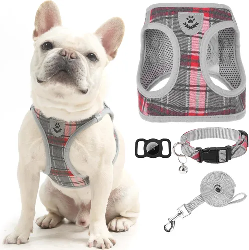 Miniatura 24 de EXPAWLORER Arnés Clásico de Plátanos para Cachorros - Juego de Arnés y Correa para Perros Pequeños - Juego de Collar y Correa para Perros con Azul