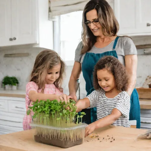 Miniatura 7 de Todd's Seeds - Semillas de germinación de alfalfa - Alfalfa a granel fácil de cultivar - Crecimiento rápido con alta germinación de brotes