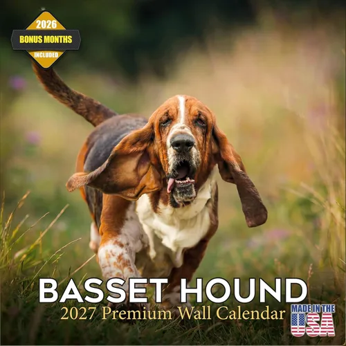 Miniatura 42 de Calendario 2025 2026 de cachorros Cocker Spaniel - Calendario mensual de pared de raza de perro - 12" x 24" abierto - Papel grueso sin sangrado