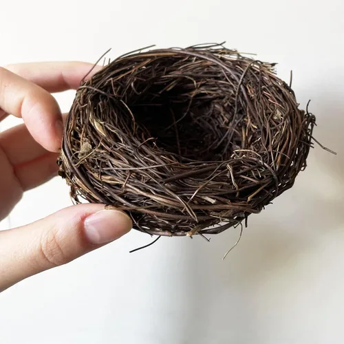 Nido de pájaro de ratán de 7.9 pulgadas, hecho a mano, seco, natural, nido de pájaro para jardín, patio, hogar, fiesta, boda, decoración, sin huevos