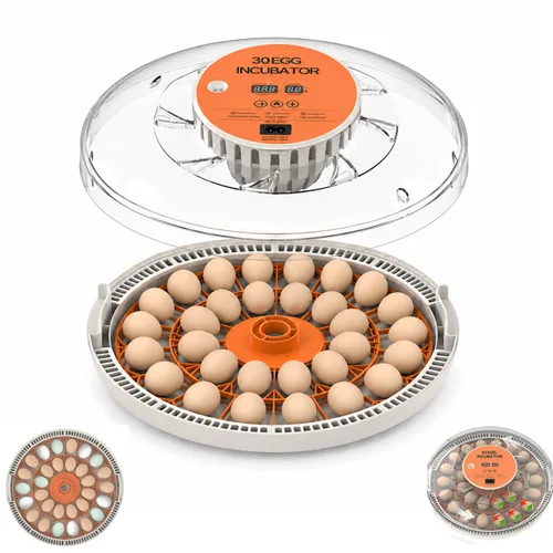Miniatura 12 de HOWOOlUA - Incubadora de huevos para incubar huevos con giro automático, control de temperatura y humedad, incubadora de huevos integrada de gran