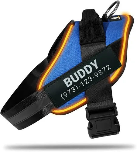 Miniatura 10 de DOGGYKINGDOM Arnés LED personalizado sin tirones para perro con parches de nombre personalizados, recargable por USB, ajustable, reflectante