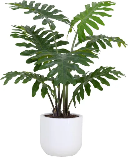 CG Hunter Árbol de filodendro sintético, soporte de árbol artificial de alta calidad para interiores, 3 pies de alto, hojas realistas y tronco