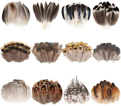Miniatura 11 de iHUFeather 120 plumas de faisán naturales a granel, 10 estilos de plumas mixtas para manualidades, manualidades, sombreros, arreglos florales, boda