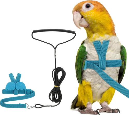 Miniatura 12 de Correa de arnés para pájaros, arnés ajustable para pájaros y loros para mascotas, ligera, antimordeduras, cuerda de entrenamiento de vuelo con linda