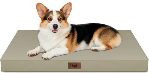 Miniatura 11 de Cama ortopédica de felpa para perros y cachorros medianos, camas impermeables para perros de 30 x 20 pulgadas con funda extraíble lavable, tapete