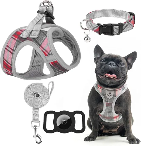 Miniatura 28 de EXPAWLORER Arnés Clásico de Plátanos para Cachorros - Juego de Arnés y Correa para Perros Pequeños - Juego de Collar y Correa para Perros con Azul
