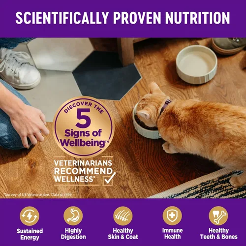 Miniatura 4 de Wellness Complete Health - Alimento seco para gatos adultos para interior, granos integrales, natural, pollo (bolsa de 2.3 kg)