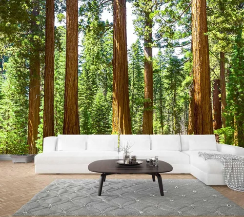 Papel tapiz de bosque de secuoyas, papel tapiz de árbol de bosque verde para dormitorio, murales de pared grandes para sala de estar y oficina (no