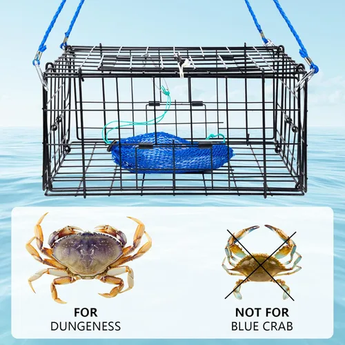 Miniatura 6 de QualyQualy 2 Packs Foldable Crab Trap 24", Crab Bait Bag，Pacific Heavy Duty Steel Crap Cage Kit with Harness, 100’ Sinking Line, Easy Store & Carry