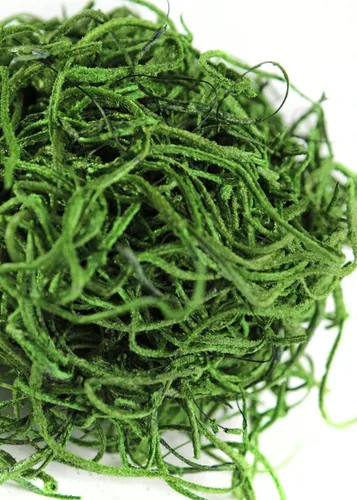 Miniatura 2 de SuperMoss (26903) Musgo español preservado – Musgo decorativo para manualidades, plantas en maceta, jardines de hadas, relleno de jarrón, arreglos