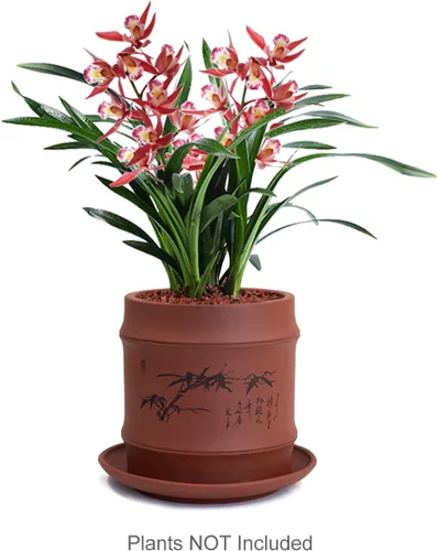Miniatura 2 de Dahlia - Macetero de barro (zisha) para suculenta con plato para drenaje